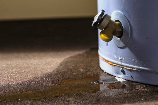 Best Water damage contractors near me  in Clendenin, WV