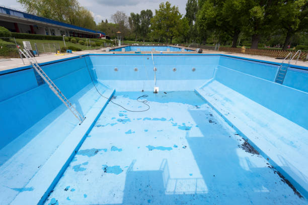 Best Professional water damage repair  in Clendenin, WV