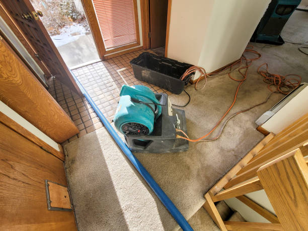 Best Sewage cleanup and water damage restoration  in Clendenin, WV