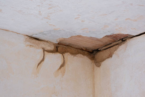 Best Water damage restoration near me  in Clendenin, WV