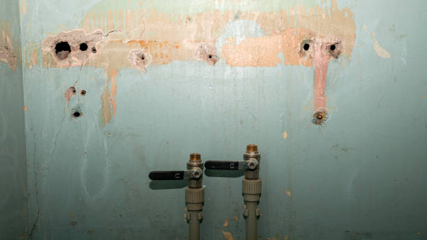 Best Flood damage cleanup  in Clendenin, WV