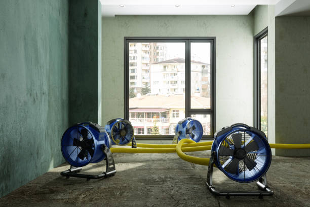 Professional Water damage restoration in WV